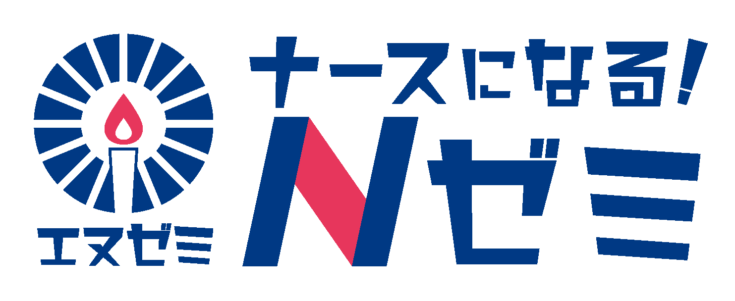 Nゼミ